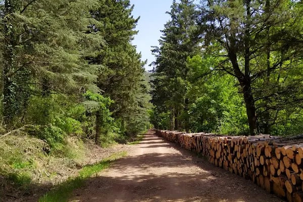 Değirmen Boğazı Tabiat Parkı - Resim 5