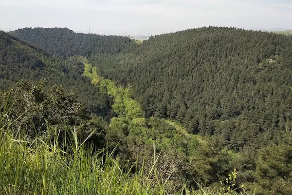 Değirmen Boğazı Tabiat Parkı - Resim 12