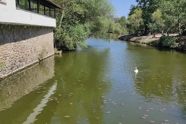 Değirmen Boğazı Tabiat Parkı - Resim 10
