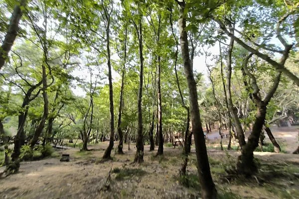 Değirmen Boğazı Tabiat Parkı - Resim 13