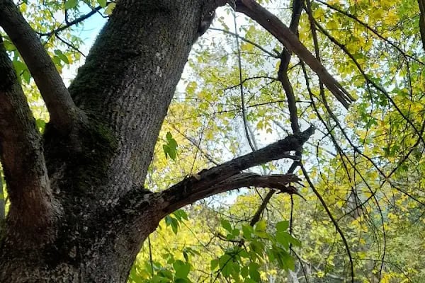 Değirmen Boğazı Tabiat Parkı - Resim 20