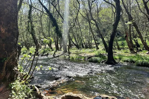 Değirmen Boğazı Tabiat Parkı - Resim 15