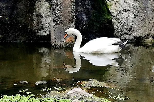 Değirmen Boğazı Tabiat Parkı - Resim 17