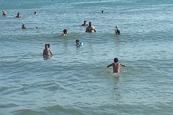 Çam Park Piknik Alanı - Resim 9