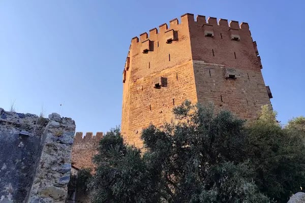 Tosmur Belediyesi Sarıtaş Çocuk Parkı - Resim 8