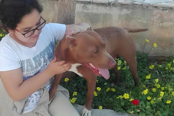 Tosmur Belediyesi Sarıtaş Çocuk Parkı - Resim 20
