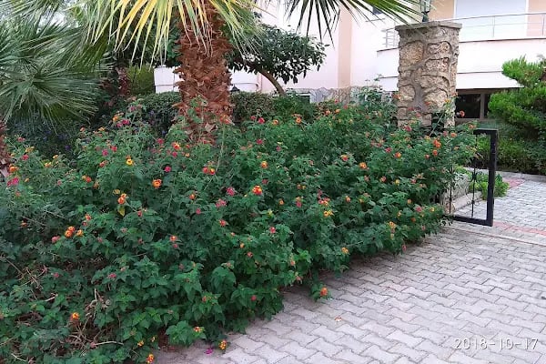 Tosmur Belediyesi Sarıtaş Çocuk Parkı - Resim 17