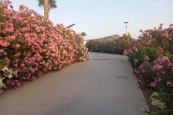 Turiya Hotel - Resim 19