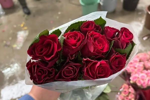 Kocataş Sakarya Kesme Çiçek Deposu - Resim 6