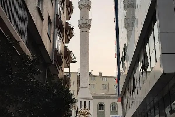 Selvili Çınar Cami - Resim 6