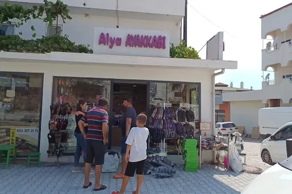 Alya Ayakkabı - Resim 1