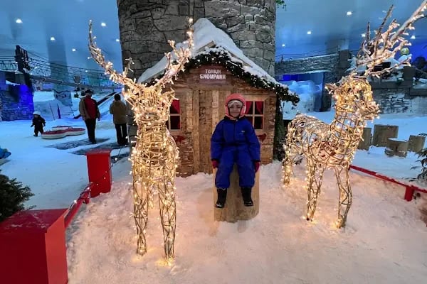 Torium Snowpark - Resim 19