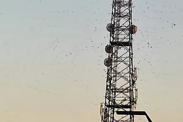 Avlu Balıkesir 2.Etap - Resim 14