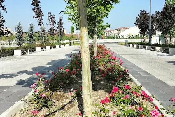 Avlu Balıkesir 2.Etap - Resim 5