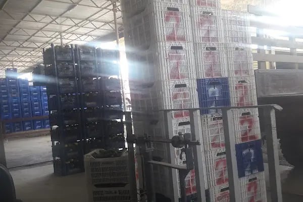 Payallar toptanci hali - Resim 11