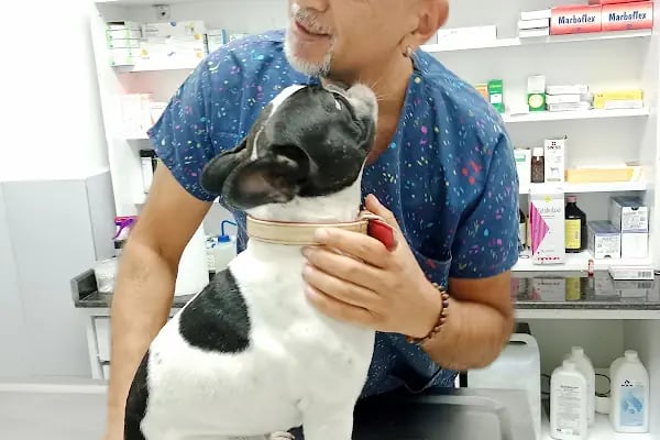 Badem Veteriner Kliniği - Resim 18