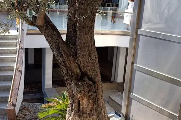 Bodrum Telefon Tamiri Oasis - Resim 15