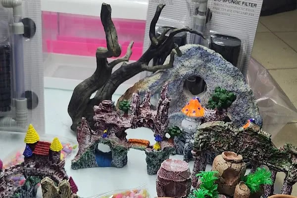 Badem PetShop - Resim 15