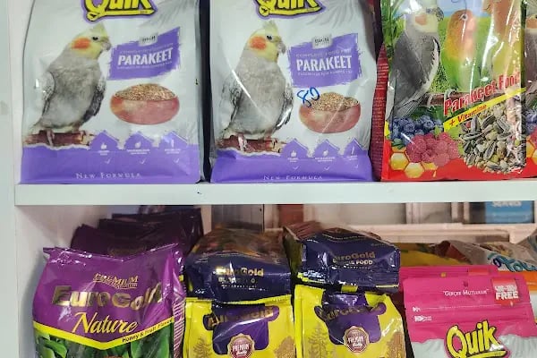 Badem PetShop - Resim 20