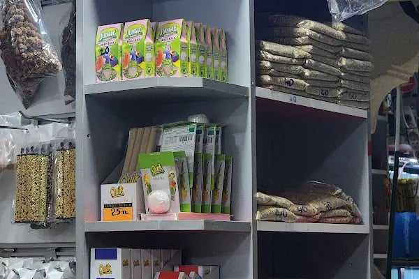 Badem PetShop - Resim 2