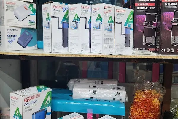 Badem PetShop - Resim 7