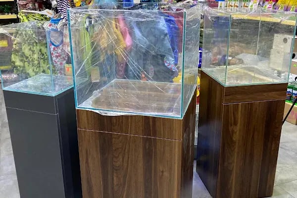 Badem PetShop - Resim 5