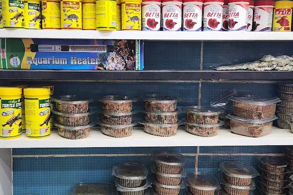 Badem PetShop - Resim 8
