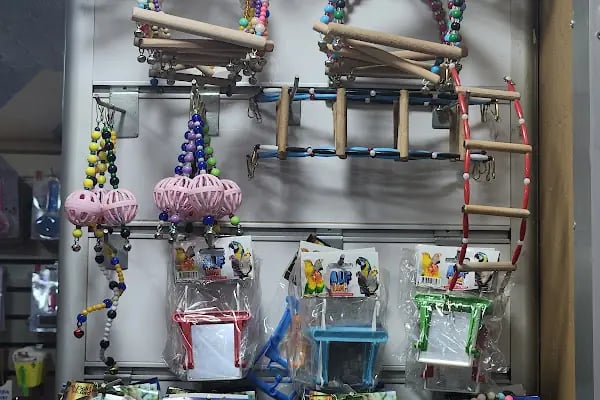 Badem PetShop - Resim 4