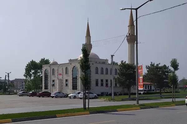 Bosnalı Hacı Mehmet Çalışkan Camii - Resim 11