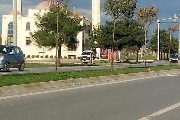 Bosnalı Hacı Mehmet Çalışkan Camii - Resim 19