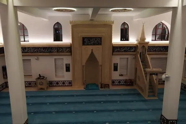 Bosnalı Hacı Mehmet Çalışkan Camii - Resim 2
