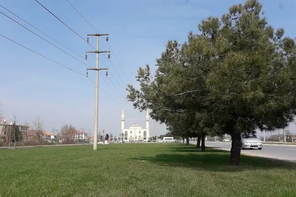 Bosnalı Hacı Mehmet Çalışkan Camii - Resim 4
