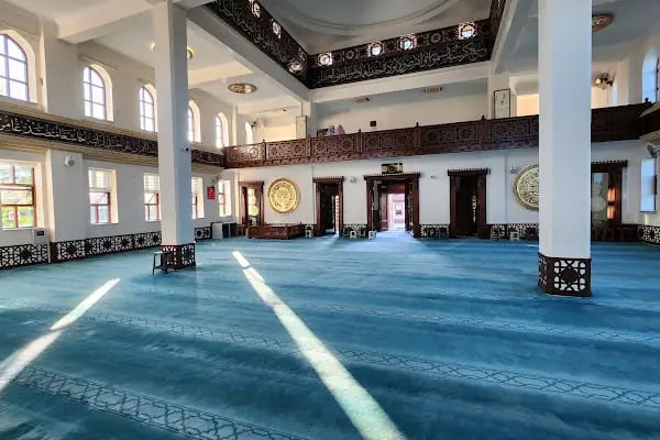 Bosnalı Hacı Mehmet Çalışkan Camii - Resim 8