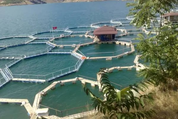 Çakar Alabalık Çiftliği Birecik - Resim 3