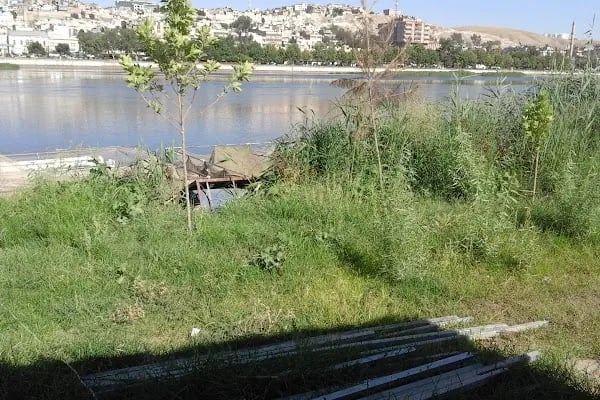 Çakar Alabalık Çiftliği Birecik - Resim 8