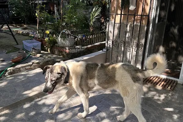 Demtaş Sitesi - Resim 1