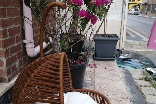 PurLina Petshop Bursa Kedi ve Köpek Mamaları Evcil Hayvan Ürünleri - Resim 2