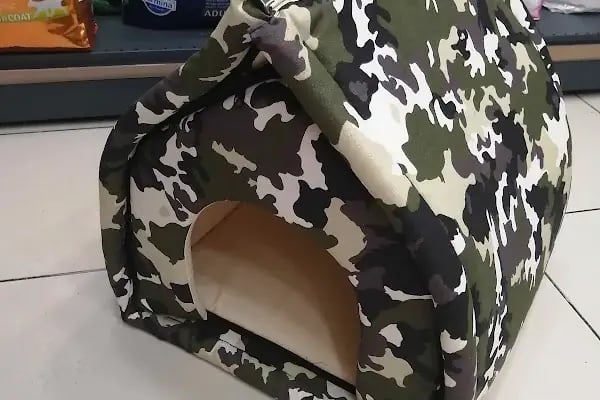 PurLina Petshop Bursa Kedi ve Köpek Mamaları Evcil Hayvan Ürünleri - Resim 17