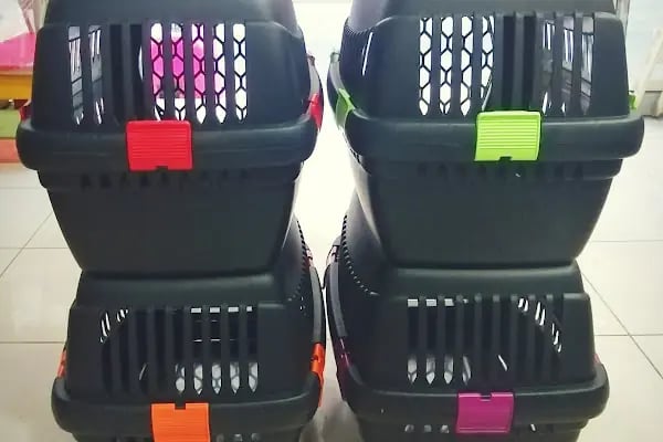 PurLina Petshop Bursa Kedi ve Köpek Mamaları Evcil Hayvan Ürünleri - Resim 18