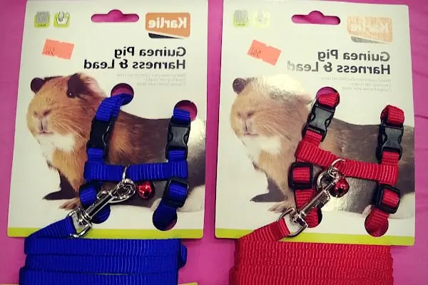 PurLina Petshop Bursa Kedi ve Köpek Mamaları Evcil Hayvan Ürünleri - Resim 8