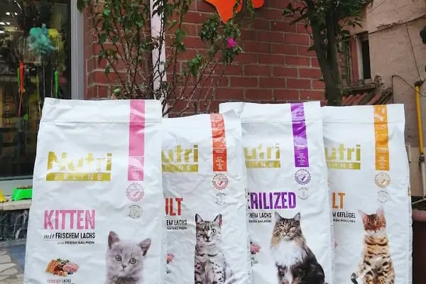 PurLina Petshop Bursa Kedi ve Köpek Mamaları Evcil Hayvan Ürünleri - Resim 1