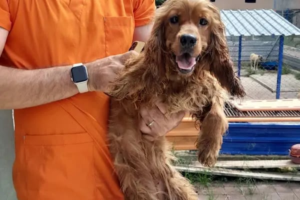 tuğ-Pati Veteriner Kliniği - Resim 10