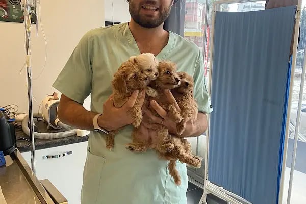 tuğ-Pati Veteriner Kliniği - Resim 11