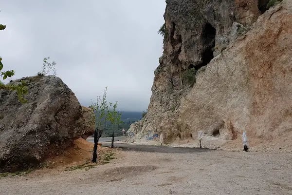 Akseki-ibradı Havza Projesi Hatıra Ormanı - Resim 20