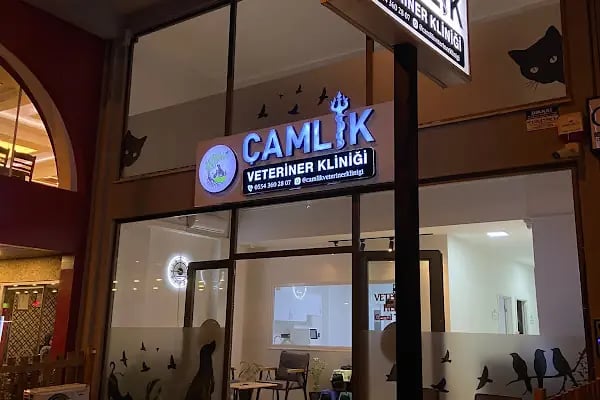 Çamlık Veteriner Kliniği - Resim 2