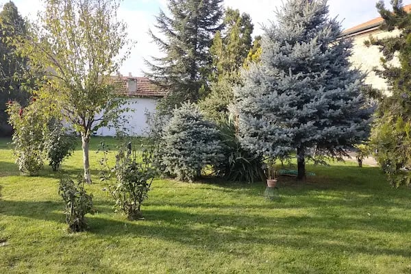 Konstantin ve Elena Bulgar Ortodoks Kilisesi - Resim 13