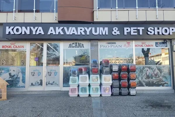 Konya akvaryum petshop - Resim 4