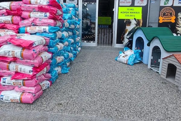 Konya akvaryum petshop - Resim 8