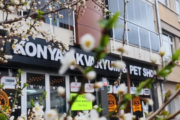 Konya akvaryum petshop - Resim 5
