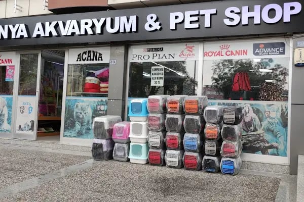 Konya akvaryum petshop - Resim 6